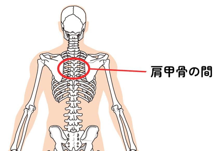 生理痛カイロを貼る場所「肩甲骨の間のイラスト」