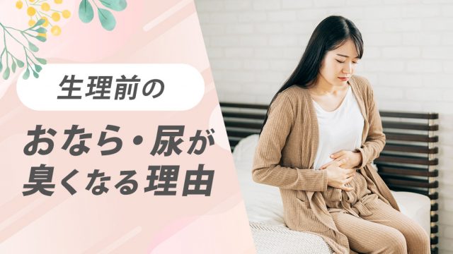 生理前のおならが臭いのは腸の動きが鈍るから。尿は濃縮されて臭いが濃くなる