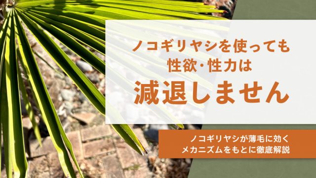 【朗報】「ノコギリヤシで性力減退」は誤解！テストステロンは減りません