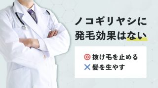 【ノコギリヤシに発毛効果はない】しかし薄毛に効果がないわけじゃない