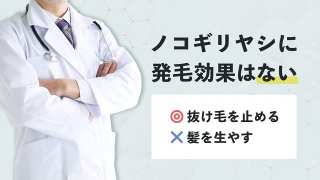 【ノコギリヤシに発毛効果はない】しかし薄毛に効果がないわけじゃない