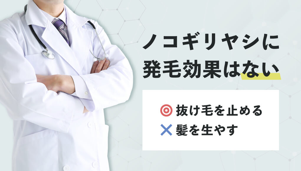 【ノコギリヤシに発毛効果はない】しかし薄毛に効果がないわけじゃない