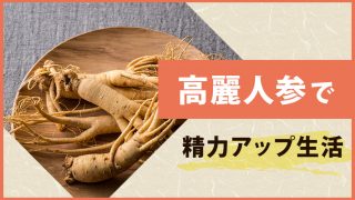 【精力】高麗人参でギンギン生活。男性のエンジン、もう一度始動。