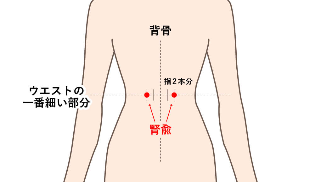 腎兪