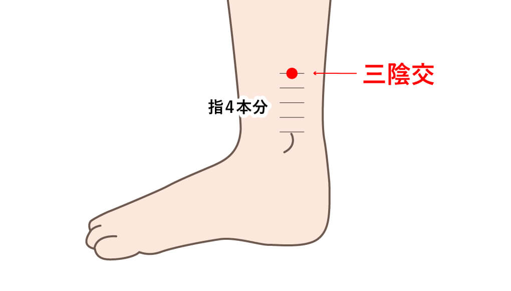 三陰交