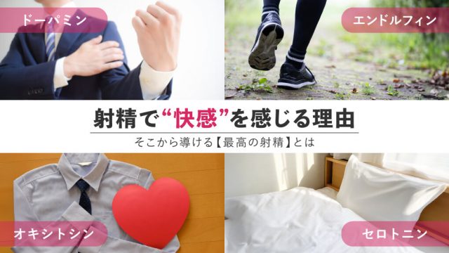 射精するとなぜ気持ち良い？メカニズムを基に【最高の射精】を考える