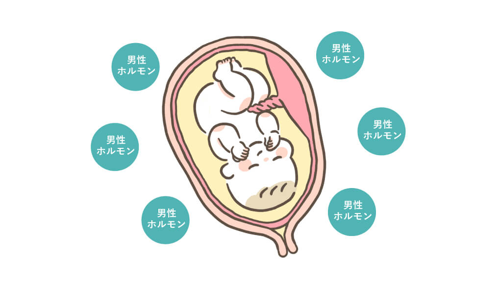 男性ホルモンを浴びる胎児