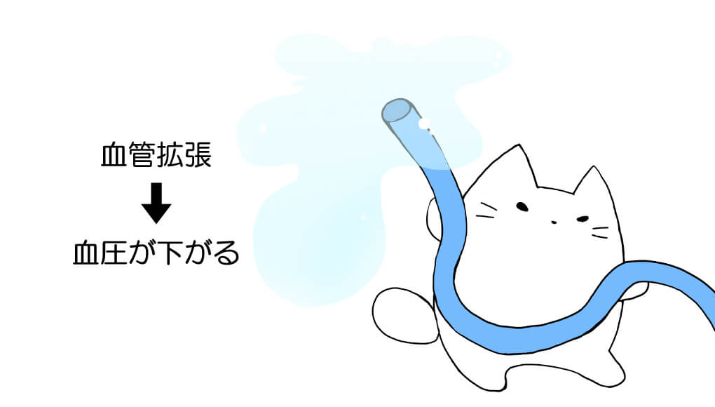 ホースで水を撒くねこ