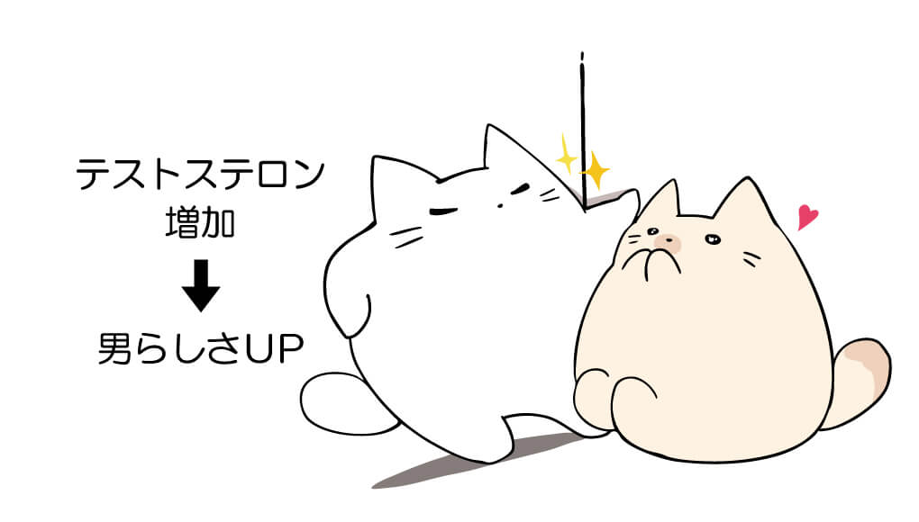 壁ドンするねこ