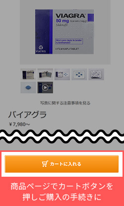 商品ページのキャプチャ画像