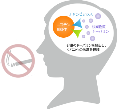 刺激作用イメージ