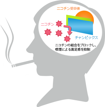 拮抗作用イメージ
