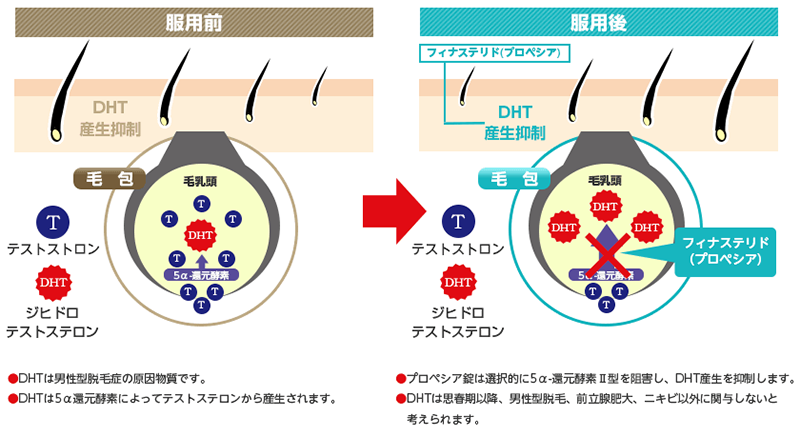 服用前後の改善イメージ