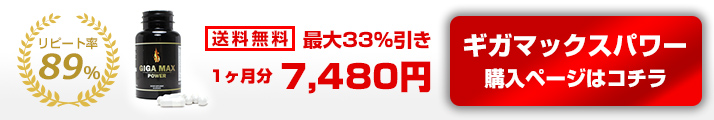 ギガマックスパワー購入ページはコチラ
