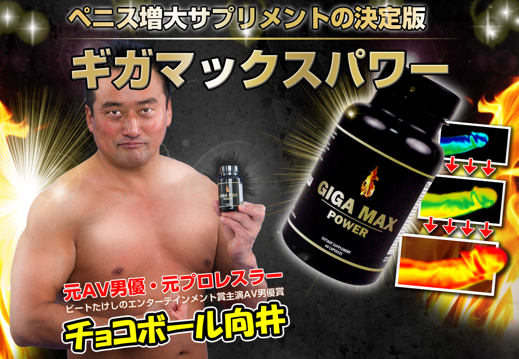 ペニス増大サプリメントの決定版　ギガマックスパワー