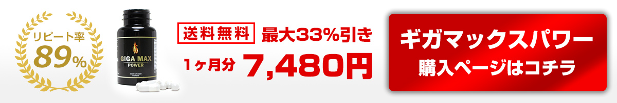 ギガマックスパワー購入ページはコチラ