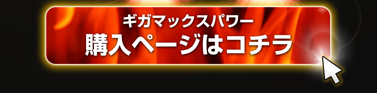 ギガマックスパワー購入ページはコチラ