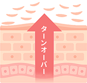 トレチノインで肌のターンオーバーを促進イメージ