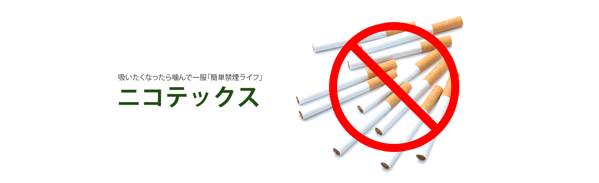 吸いたくなったら噛んで一服「簡単禁煙ライフ」ニコテックス