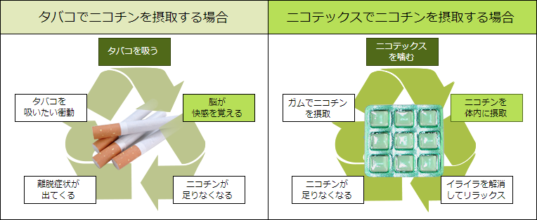 効果サイクル