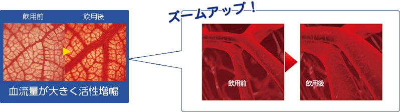 サイズプロウルトラ効果イメージ