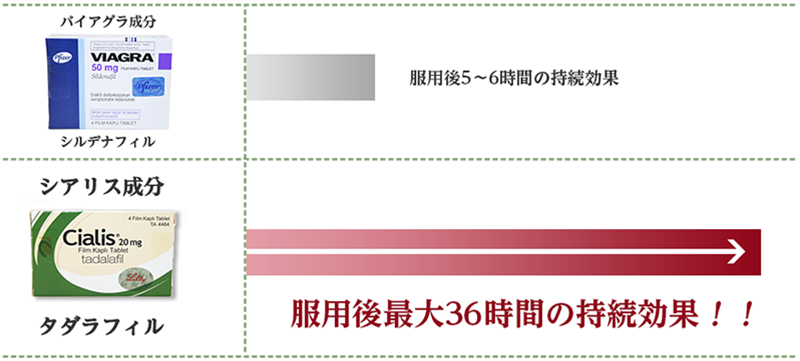 バイアグラと効果時間の比較