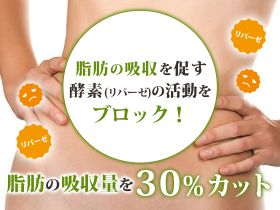 スリムトリムの効果