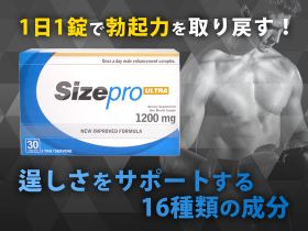 サイズプロウルトラの概要