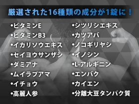 サイズプロウルトラの効果・成分