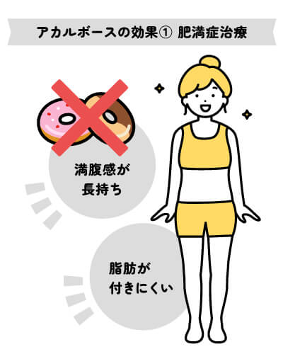アカルボースの効果①肥満症治療