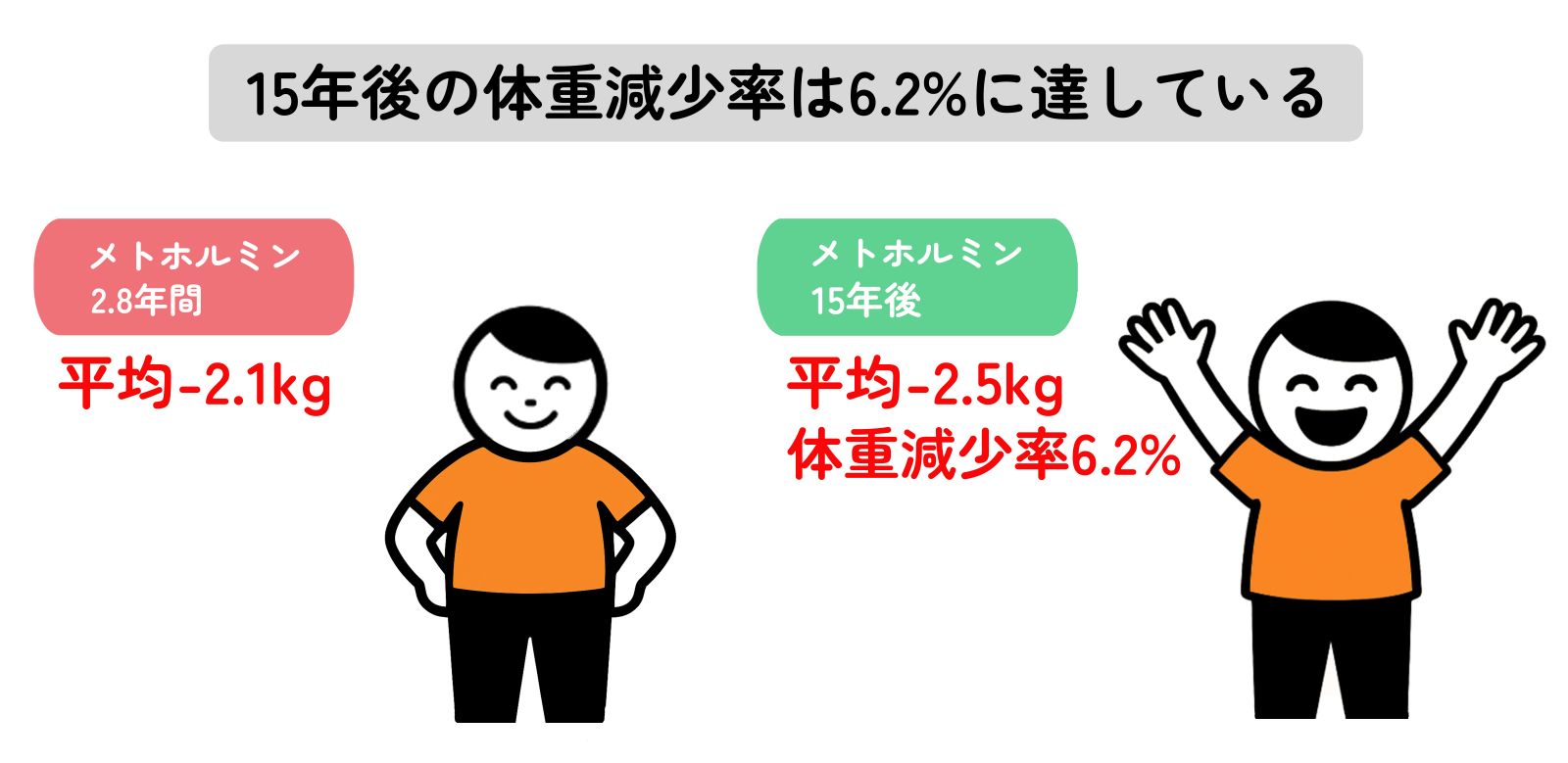 メトホルミンの臨床試験結果のイラスト2