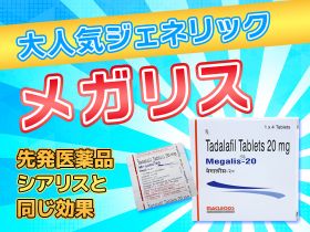 メガリスの概要