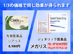 メガリスの価格比較