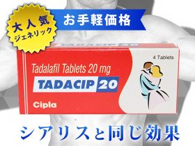 タダシップの概要