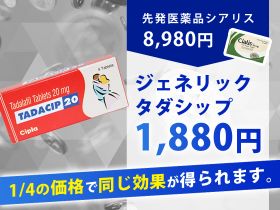 タダシップの価格比較