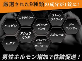 スペマンの成分
