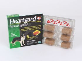 ハートガードプラス(犬用)の開封