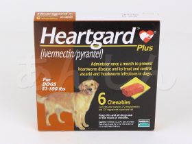 ハートガードプラス(犬用)大型犬用