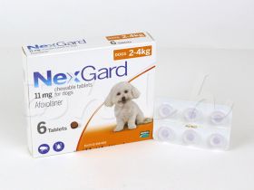 ネクスガード(犬用)の開封