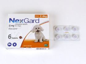 ネクスガード(犬用)の中身