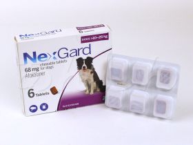 ネクスガード(犬用)の開封