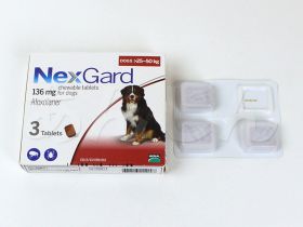 ネクスガード(犬用)の中身