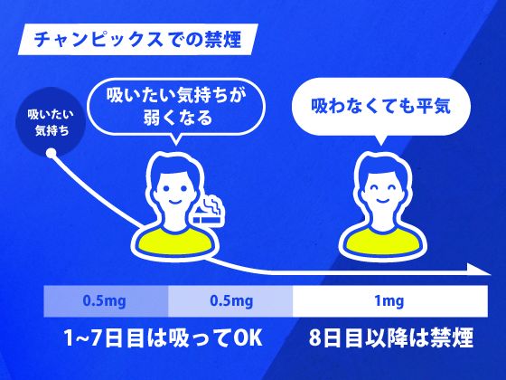 penicillin 会報 まとめ売り