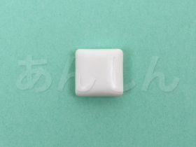 ニコテックス(禁煙ガム)のガム