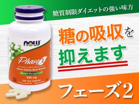 フェーズ2の概要