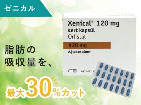 ゼニカルの概要