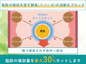 ゼニカルのダイエット効果