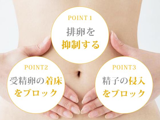 カレンダーシール4つセット　トリキュラー錠28用 トリキュラー錠28 | 医薬品卸・仕入れ・発注・在庫確認の