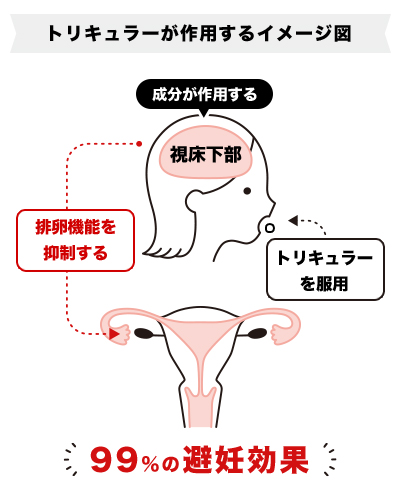 トリキュラーの避妊効果のイラスト