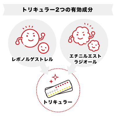 トリキュラーの有効成分「レボノルゲストレル」「エチニルエストラジオール」の説明イラスト